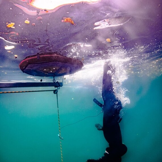 Вводное занятие по фридайвингу  - изображение 4