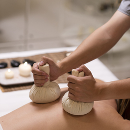 СПА программа Подикижи