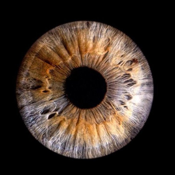 Зрение человека и его уникальные особенности на черном фоне