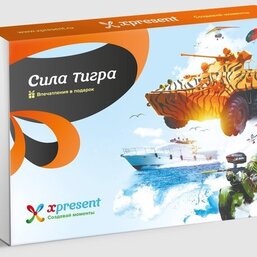 Сила тигра