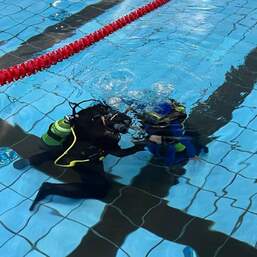 Пробное погружение Курс PADI Discover Scuba Diving