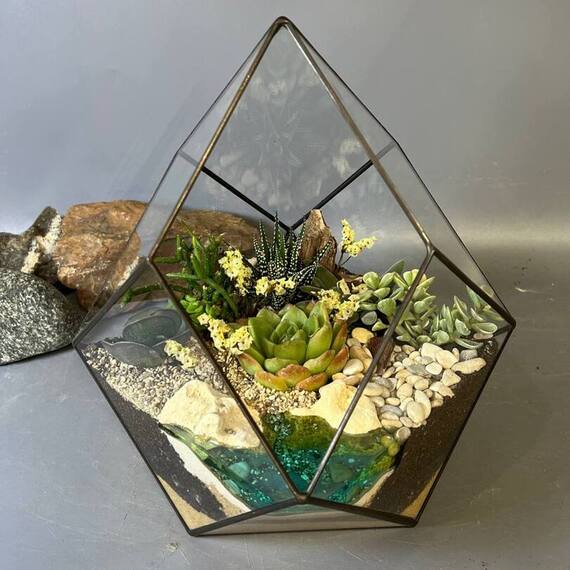 Мастер класс создание флорариума - изображение 4 Мастер класс создание флорариума - изображение 4