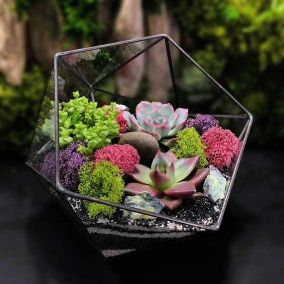 Мастер класс Флорариум с суккулентами - изображение 4 Мастер класс Флорариум с суккулентами - изображение 4