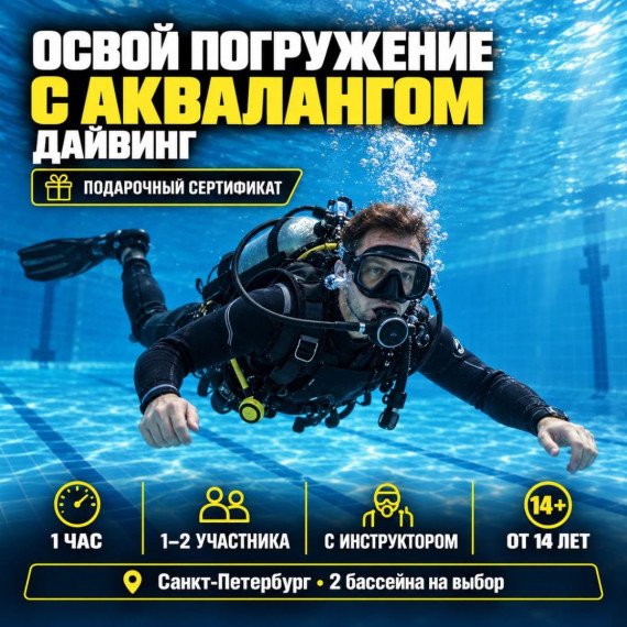 Дайвинг. Инфографика 1