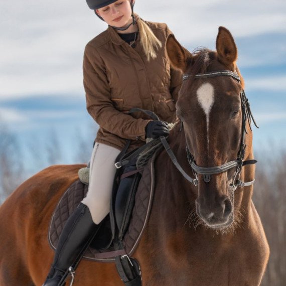 Женщина на лошади на фоне зимнего леса под ясным небом