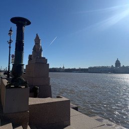 Маршрут по Петербургу: кошачья экскурсия по городу