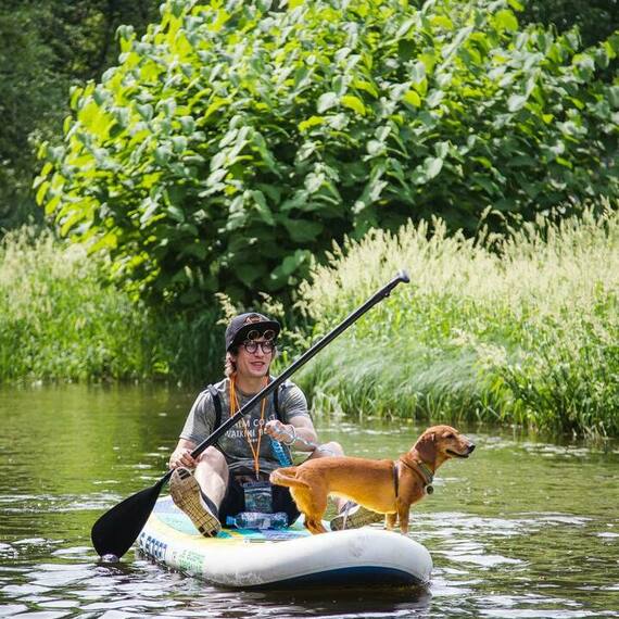 Человек и собака на SUP-доске в спокойной воде реки среди зелени в солнечное летнее утро. Фото 18