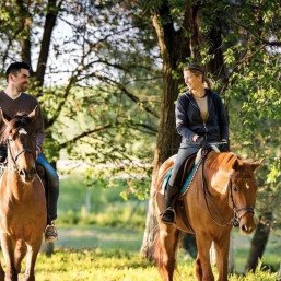 Конная прогулка Троицкое