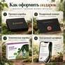 Дальше только лес - Превью 2