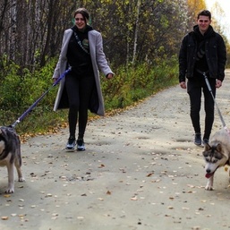 Дог трекинг 7 км: посещение питомника и прогулка с ездовой собакой 