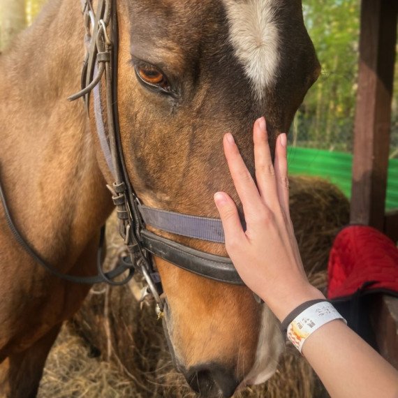 Индивидуальная конная прогулка - изображение 2