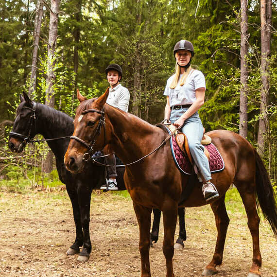Летняя прогулка на лошадях по лесу с друзьями, наслаждаясь природой и свежим воздухом