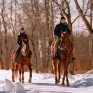Люди едут на лошадях по заснеженной дороге в зимнем лесу недалеко от деревни - превью 1