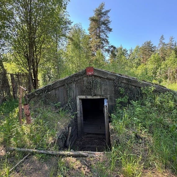 Заброшенный шалаш в лесу, окруженный greenery, на солнечном дне, идеальное место для исследования дикой природы