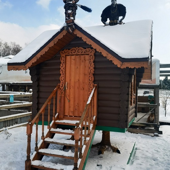 Заброшенная избушка в снегу с фигурами на крыше, зимний день, деревенский пейзаж. Фото 12