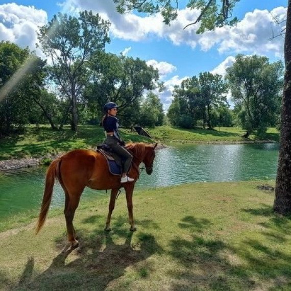 Наездник на лошади у реки в солнечный день. Главное фото