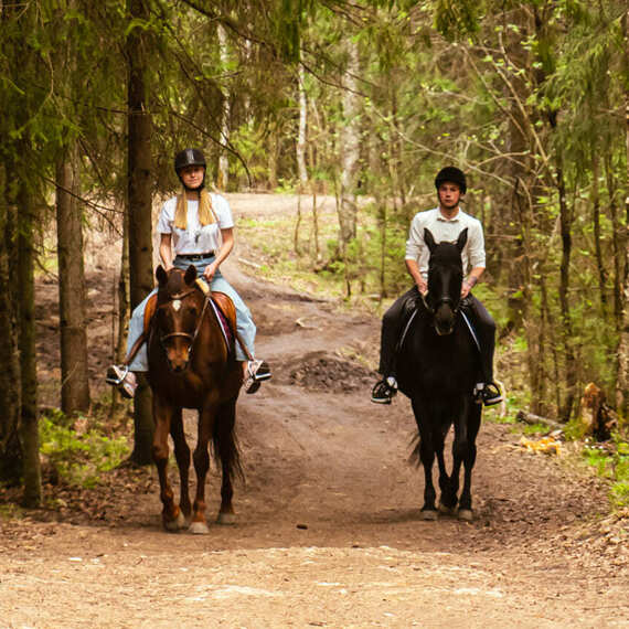 Прогулка на лошадях по лесной тропе в тишине природы в солнечный день