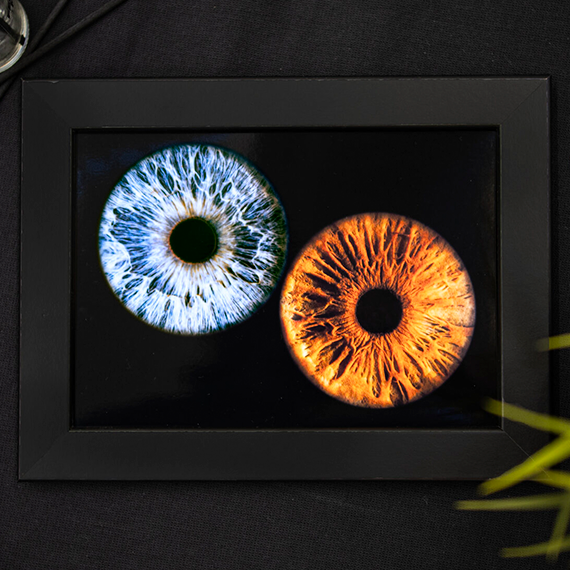 Изображение глаз с различными оттенками на черном фоне представляет интересное восприятие. Главное фото