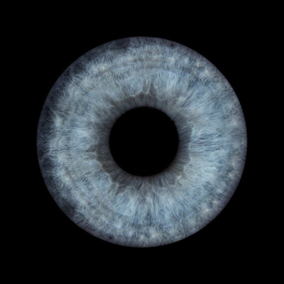 Фотография радужки глаза в электронном виде - изображение 1