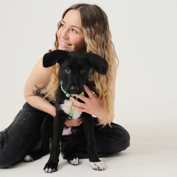 Фотосессия с питомцем - изображение 1