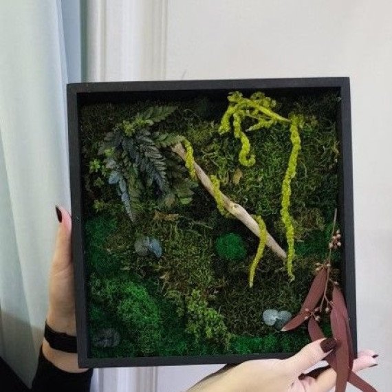 Создание зеленого оформления в коробке с растениями и мхом в помещении Создание зеленого оформления в коробке с растениями и мхом в помещении