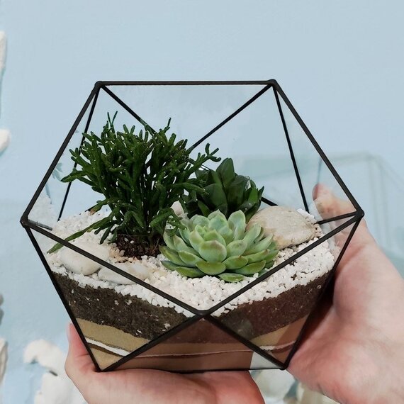 Красивый сад в стеклянном контейнере с суккулентами и растениями Красивый сад в стеклянном контейнере с суккулентами и растениями