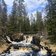 Тур в Карелию парк Рускеала и водопады - превью 7