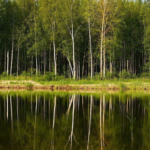 Дуплекс с баней на компанию до 6 гостей. Фото 29
