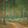 WhiteResort Поляны / Карелия - Превью 10