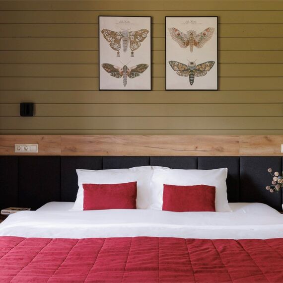 Комфорт с двуспальной кроватью, балконом и видом на лес. Фото 3