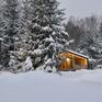 Лунный кролик - Превью 10