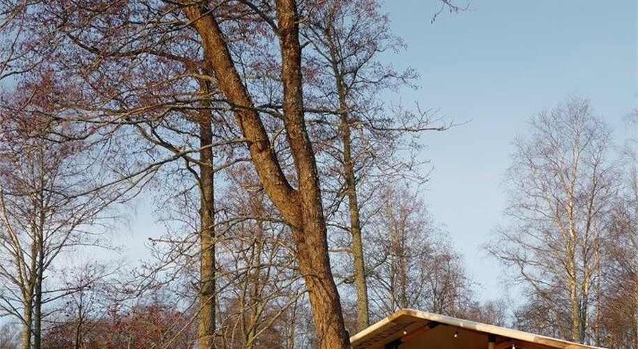  Lembo Glamping - Фото 6