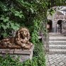 Немчиновка парк - Превью 13