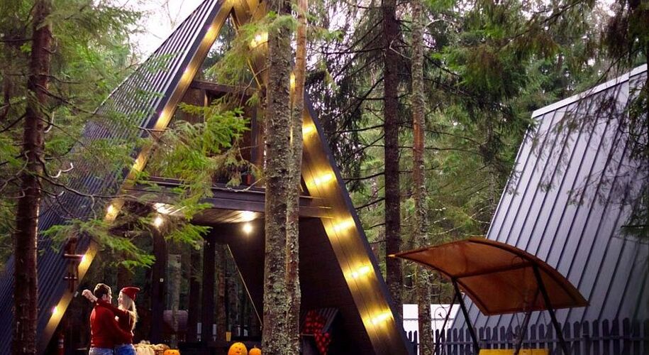 Атмосферные коттеджи A-frame ЁLKI в Новожилово - Фото 1