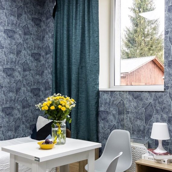 Трехместные Апартаменты с кухней. Фото 9