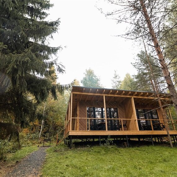 Номер с джакузи «Могучая ель». Фото 24