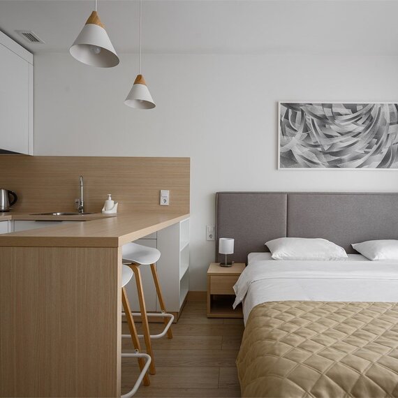 Стандарт с террасой (Технопарк). Фото 5