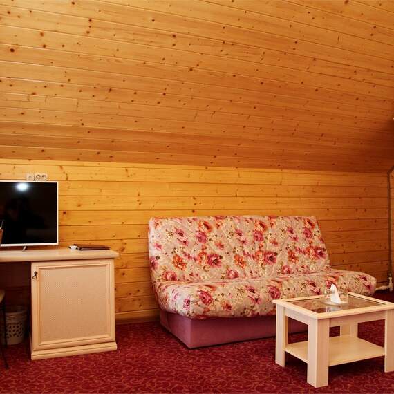 Люкс в Эко-Домике. Фото 20