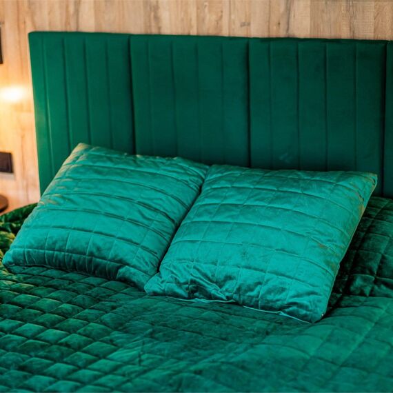 Купол «Карельский лес». Фото 8