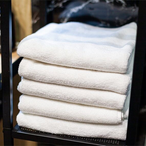 Купол «Карельский лес». Фото 22