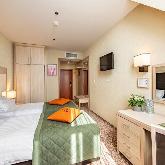 Стандарт Плюс мансардный с раздельными кроватями. Фото 3