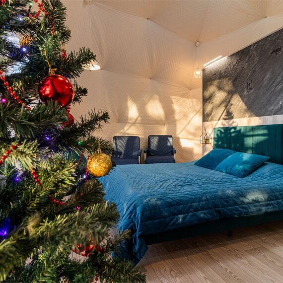 Купол «Петроглифы». Фото 60