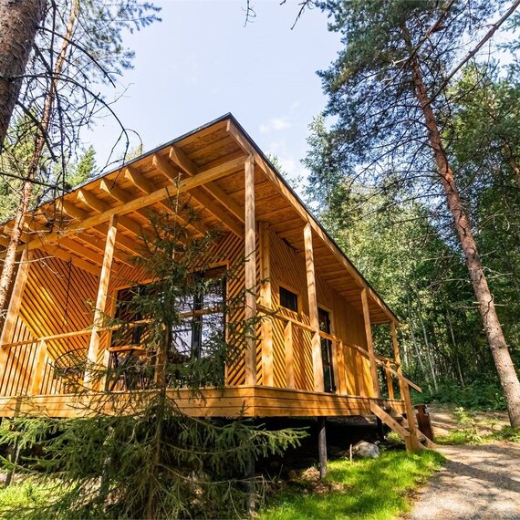 Номер «Сосновый бор». Фото 2