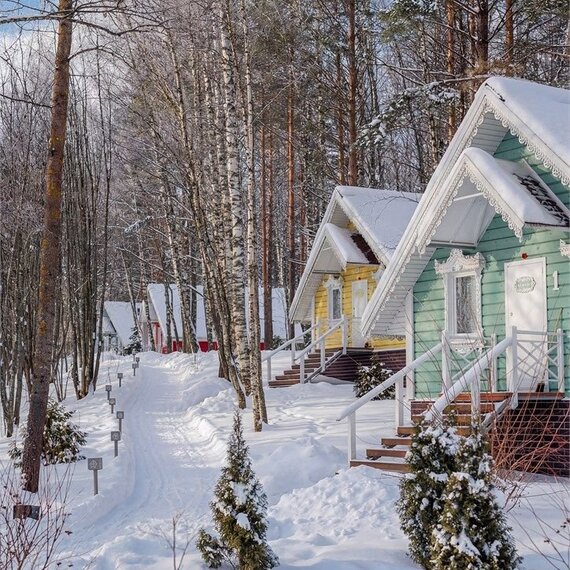 Дом-Студия в лесу. Фото 7