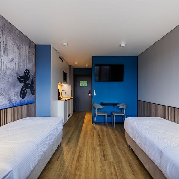 Стандарт с 2 односпальными кроватями. Фото 3