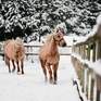  Отель Moscow Country Club - Превью 6