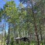 Домик в соснах - Превью 6