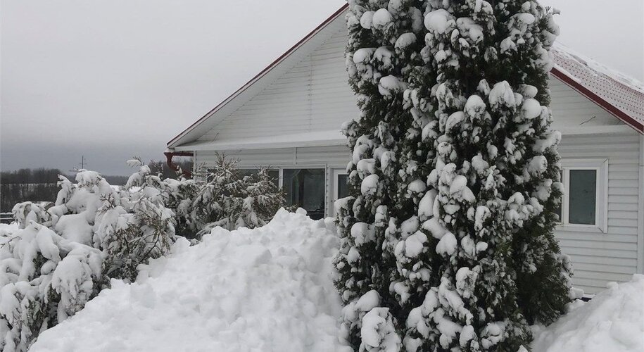 Лесная Гавань - Фото 9
