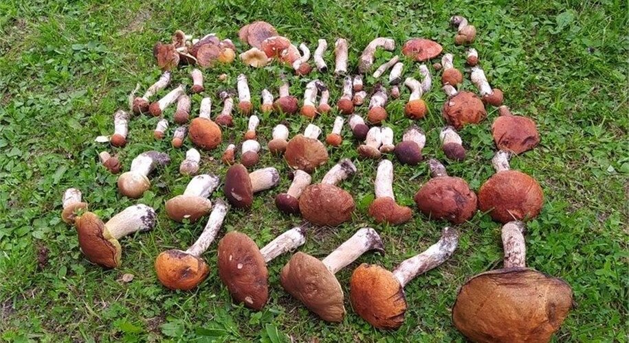 Медвежья гора - Фото 69