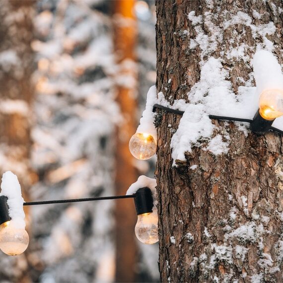 Дома с видом на лес: №1/2/3. Фото 12